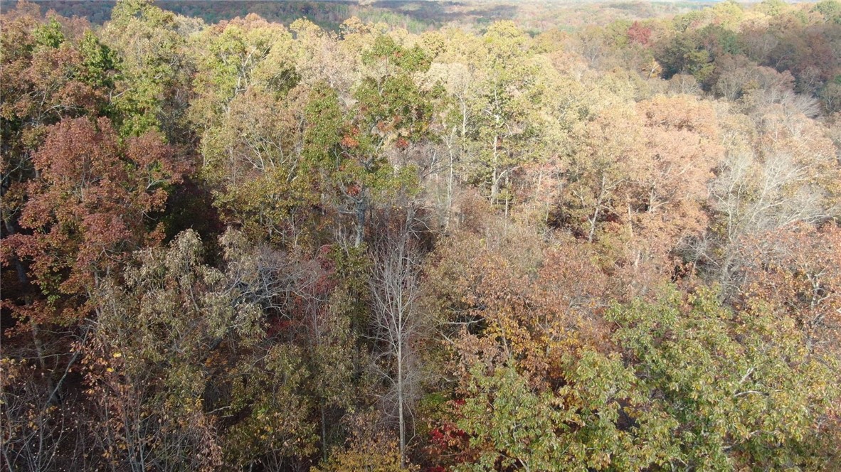 11 Pickens Sc 29671 Pickens, SC 29671 - Photo 13 of 23