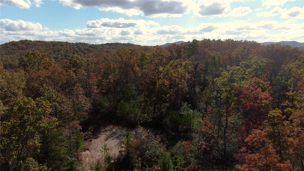 11 Pickens Sc 29671 Pickens, SC 29671 - Photo 14 of 23