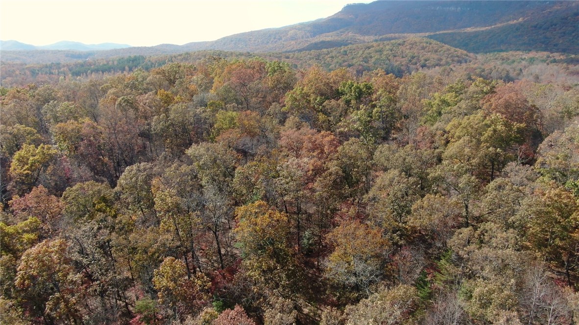 11 Pickens Sc 29671 Pickens, SC 29671 - Photo 17 of 23