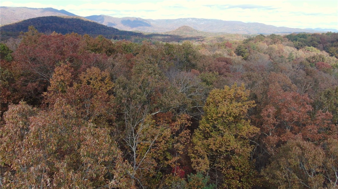 11 Pickens Sc 29671 Pickens, SC 29671 - Photo 20 of 23