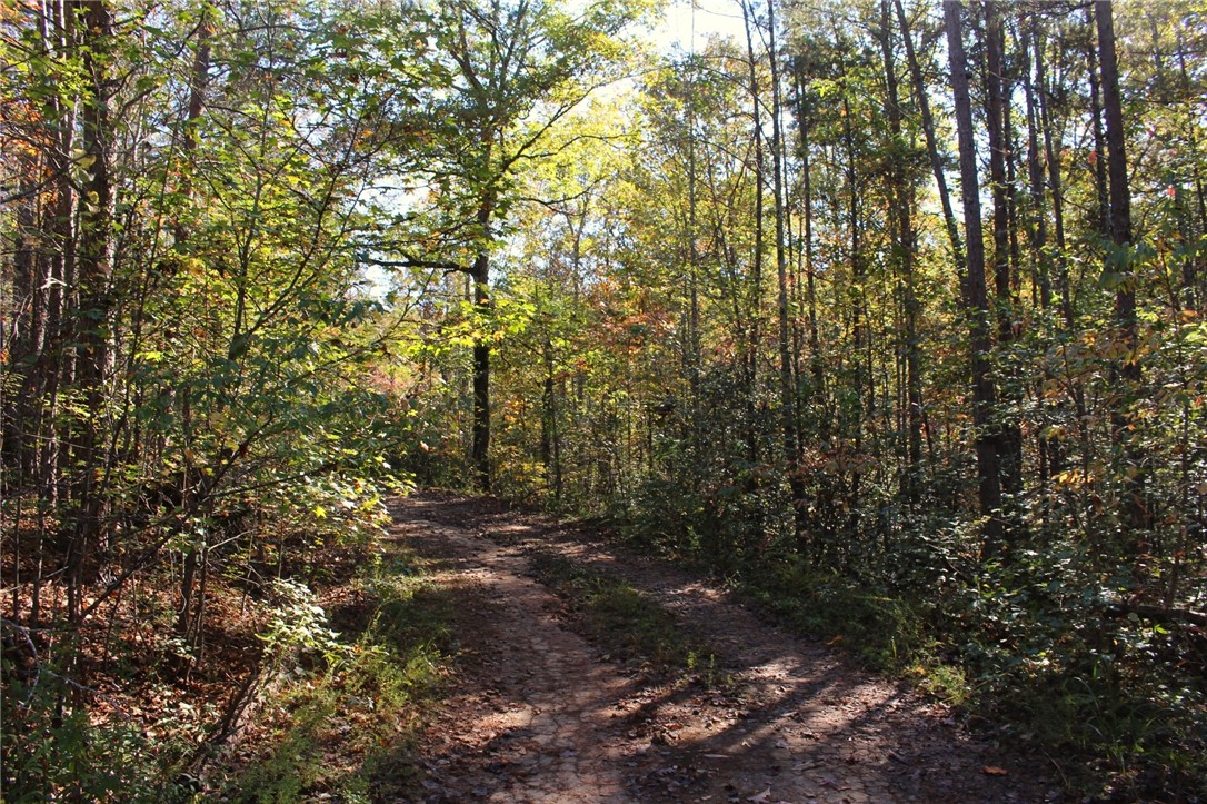 11 Pickens Sc 29671 Pickens, SC 29671 - Photo 2 of 23
