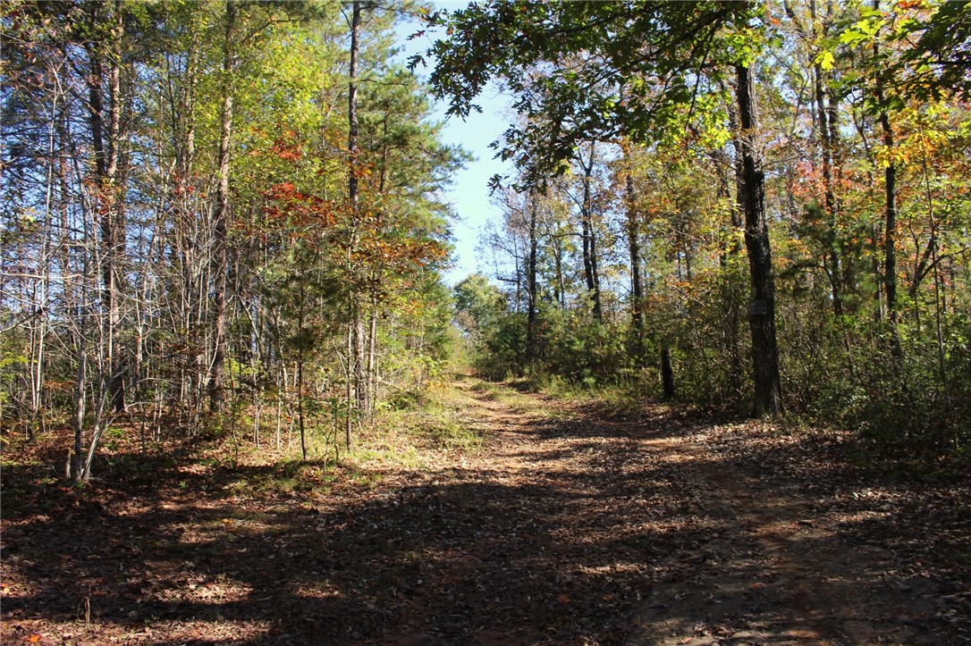 11 Pickens Sc 29671 Pickens, SC 29671 - Photo 3 of 23
