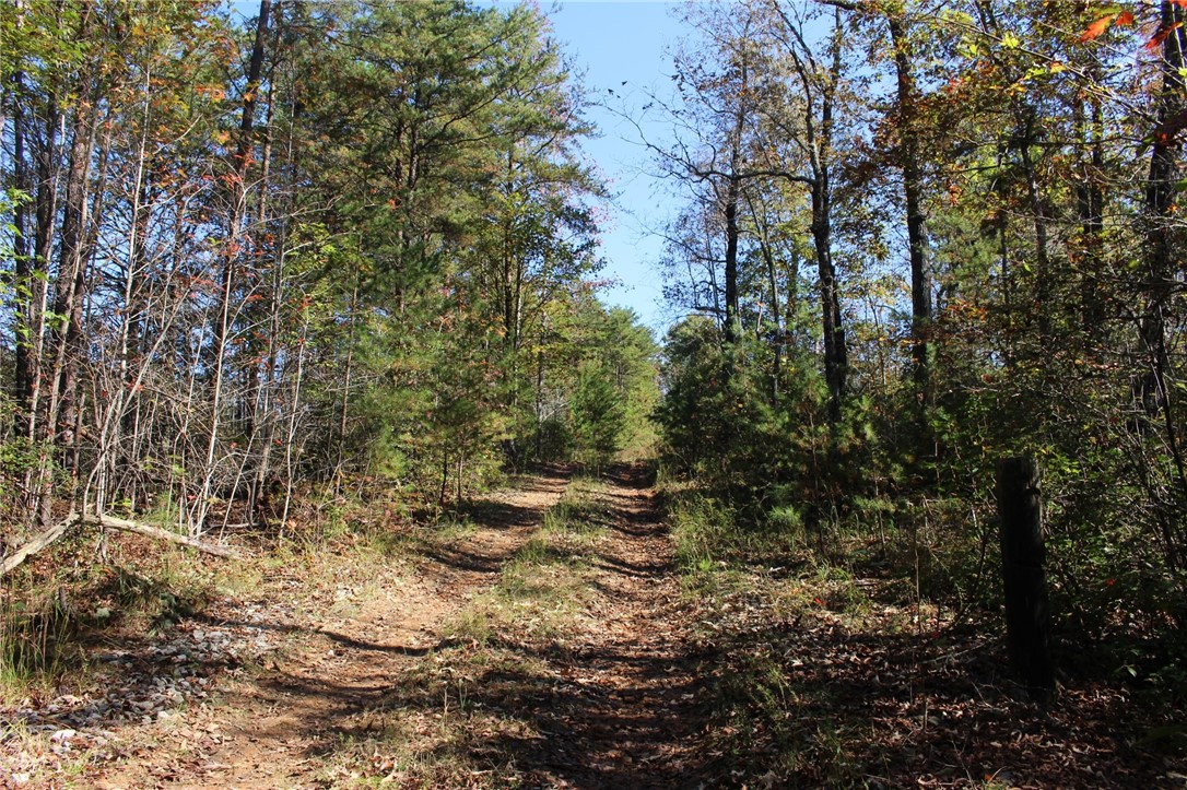 11 Pickens Sc 29671 Pickens, SC 29671 - Photo 4 of 23