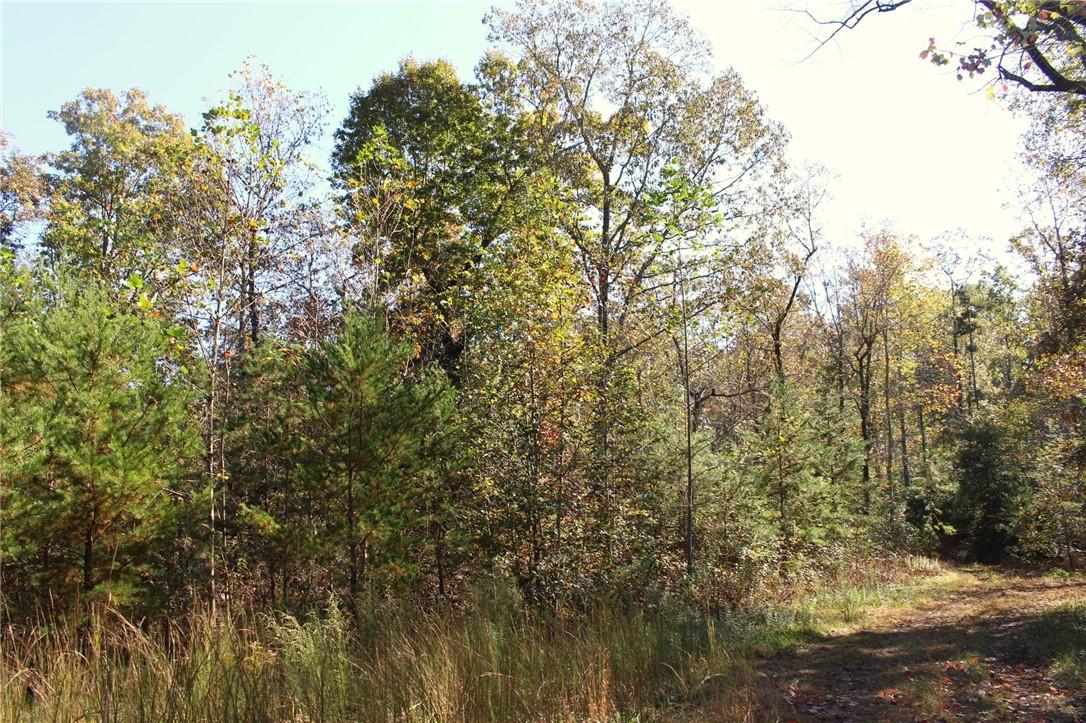 11 Pickens Sc 29671 Pickens, SC 29671 - Photo 5 of 23