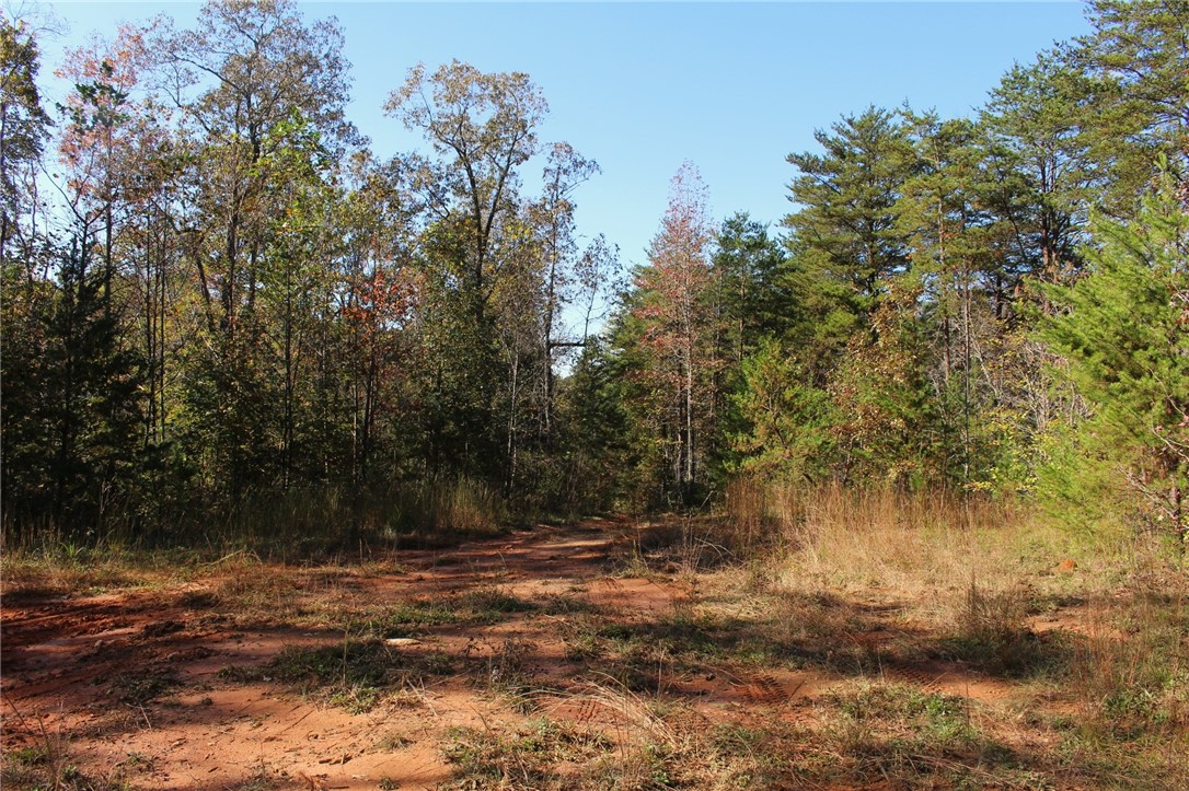 11 Pickens Sc 29671 Pickens, SC 29671 - Photo 7 of 23