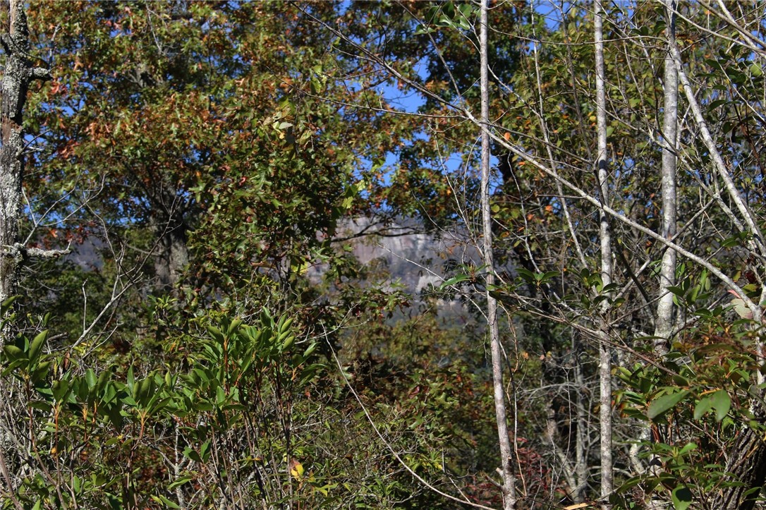 11 Pickens Sc 29671 Pickens, SC 29671 - Photo 8 of 23