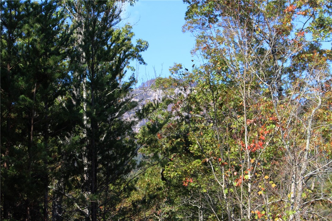 11 Pickens Sc 29671 Pickens, SC 29671 - Photo 9 of 23