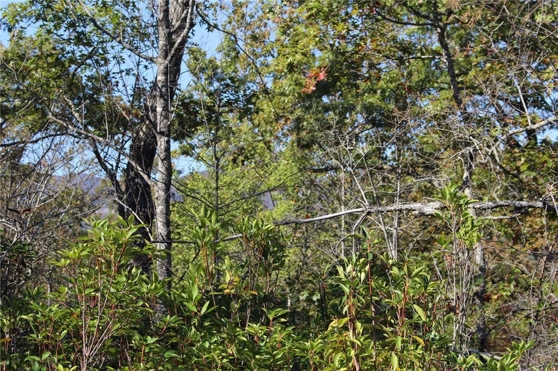 11 Pickens Sc 29671 Pickens, SC 29671 - Photo 10 of 23