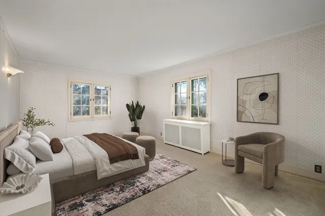 a view of a yard with plants and large trees