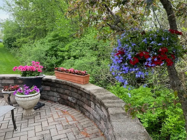 a bunch of flowers and flowers