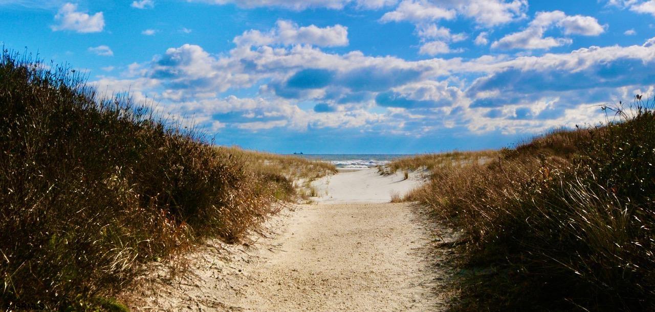 4901 Harbor Beach Boulevard, Unit Q3 Brigantine, NJ 08203 - Photo 18 of 19 a view of a dry yard with trees in the background