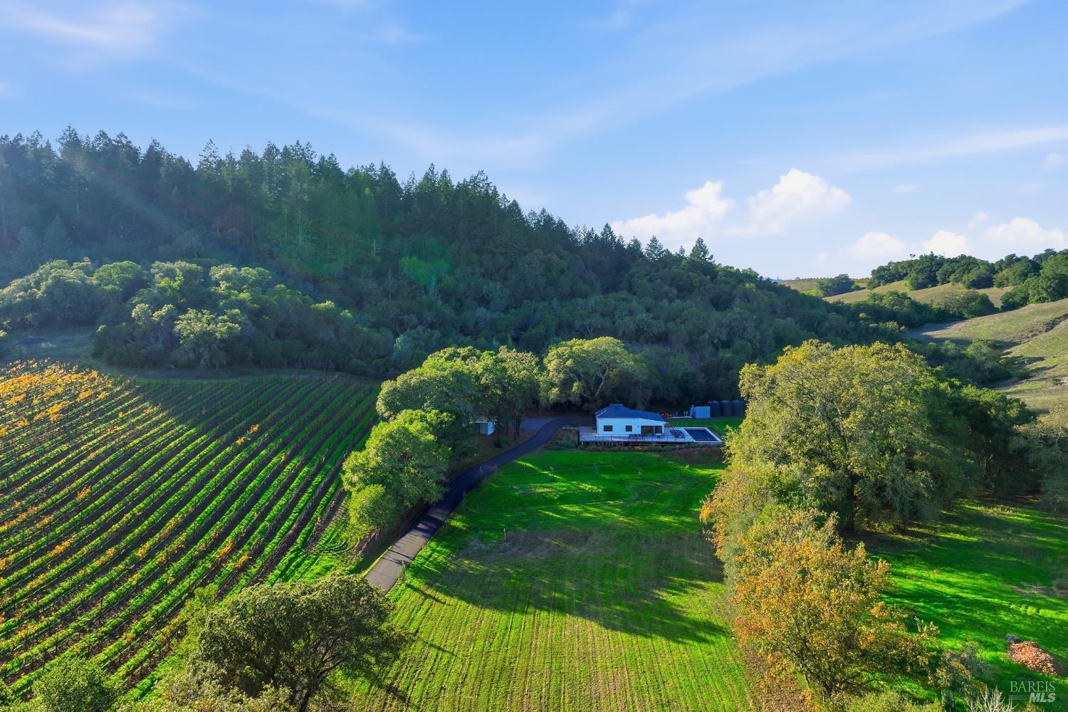 2291 Westside Road Healdsburg, CA 95448 - Photo 21 of 24