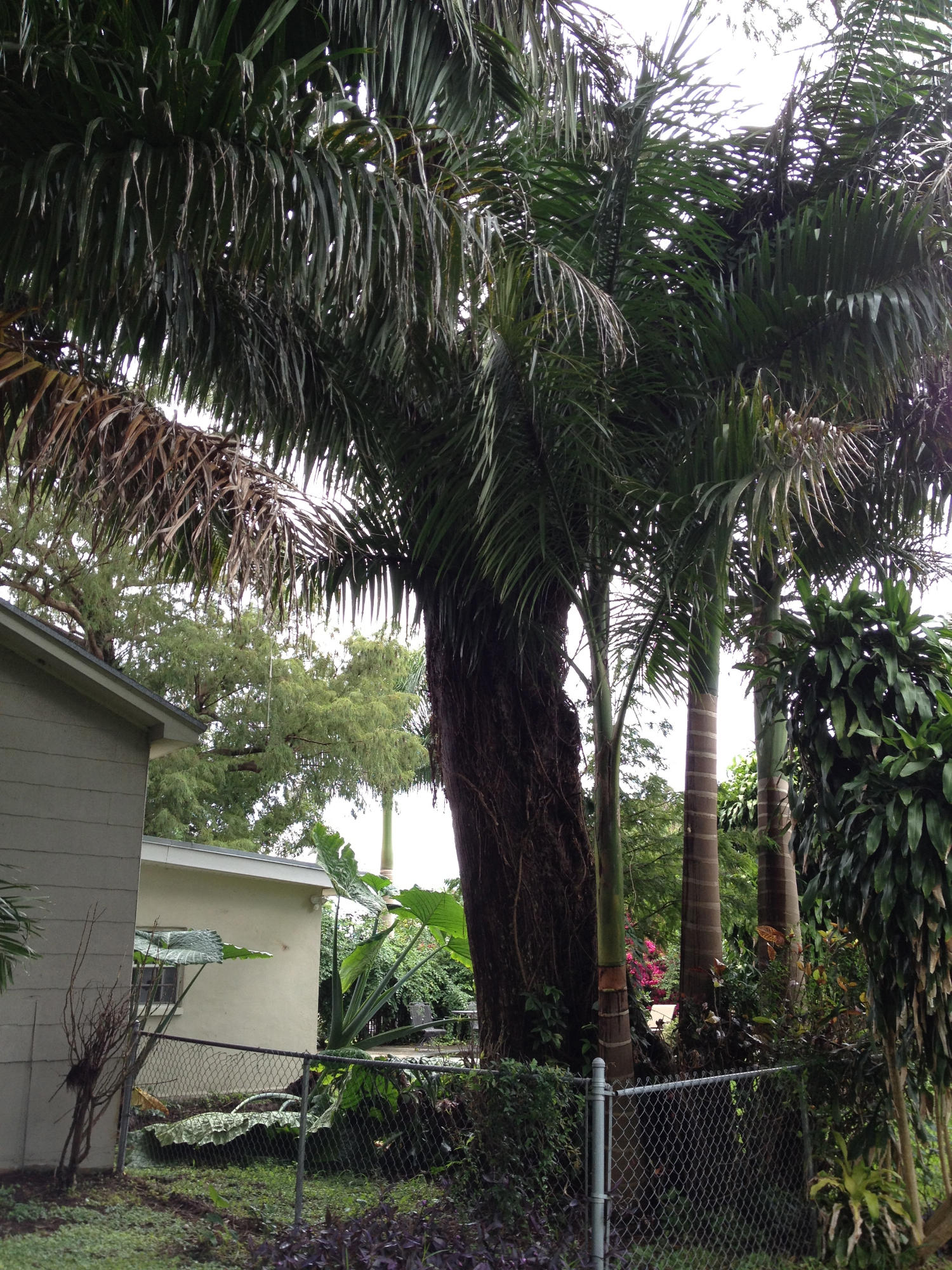 679 Bacom Point Road Pahokee, FL 33476 - Photo 23 of 65 IMG_2802