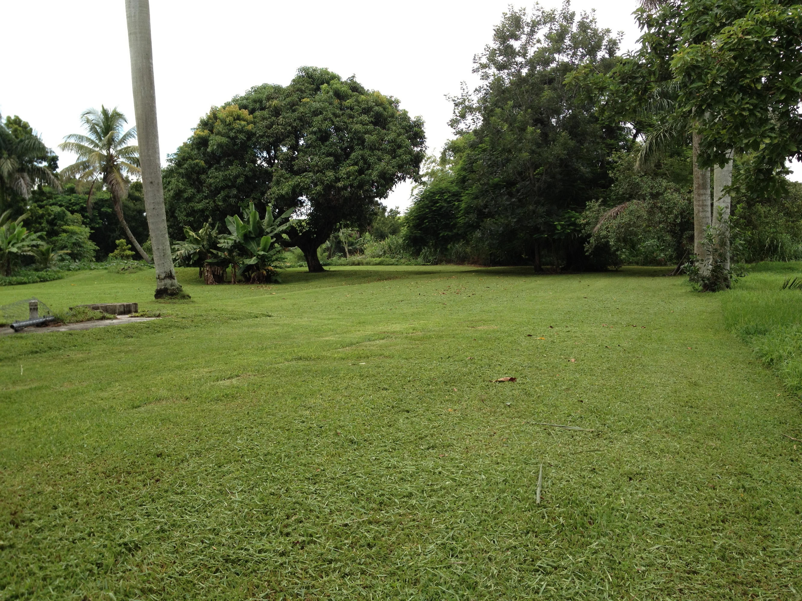 679 Bacom Point Road Pahokee, FL 33476 - Photo 25 of 65 IMG_2804