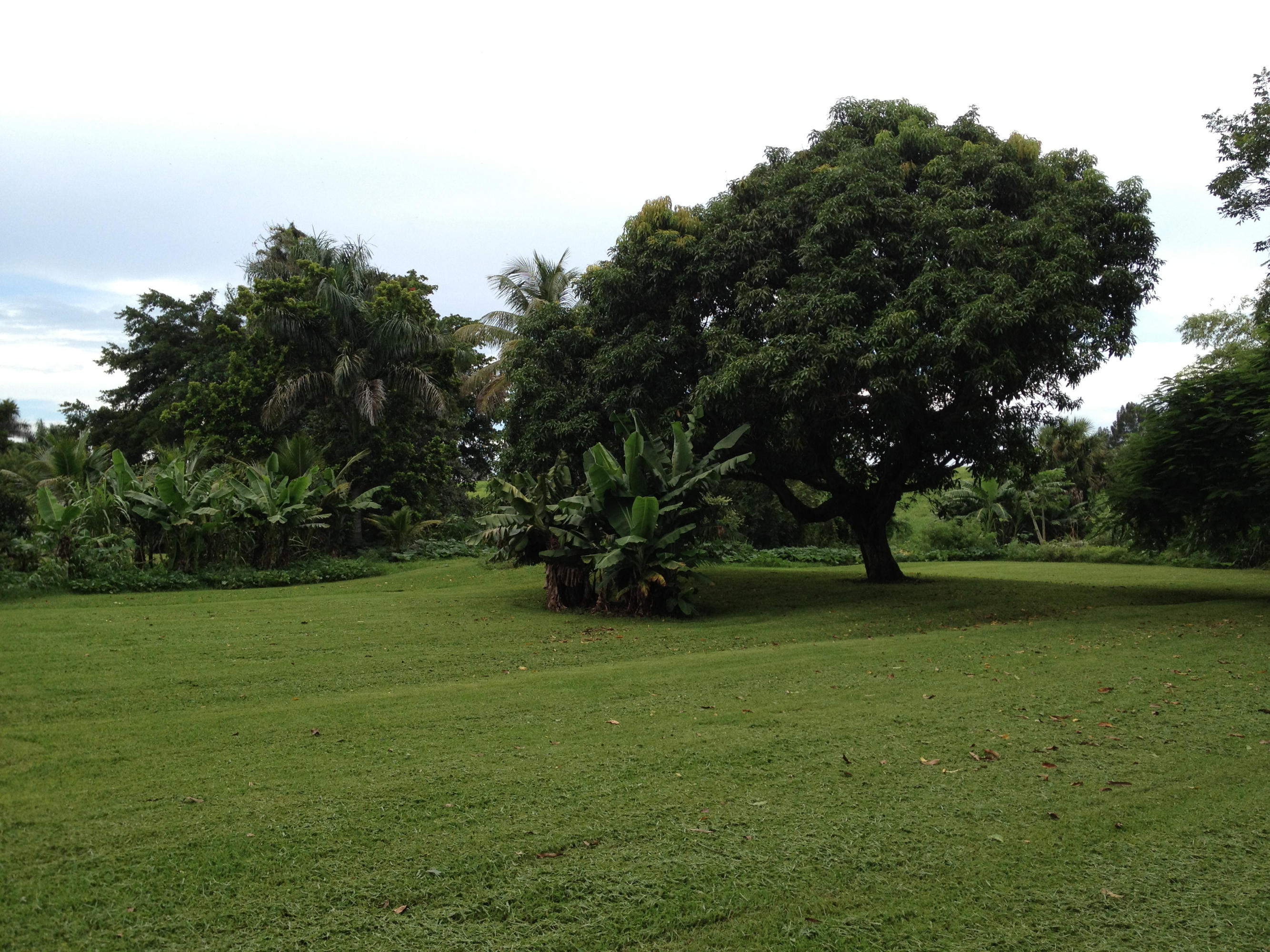 679 Bacom Point Road Pahokee, FL 33476 - Photo 28 of 65 IMG_2807