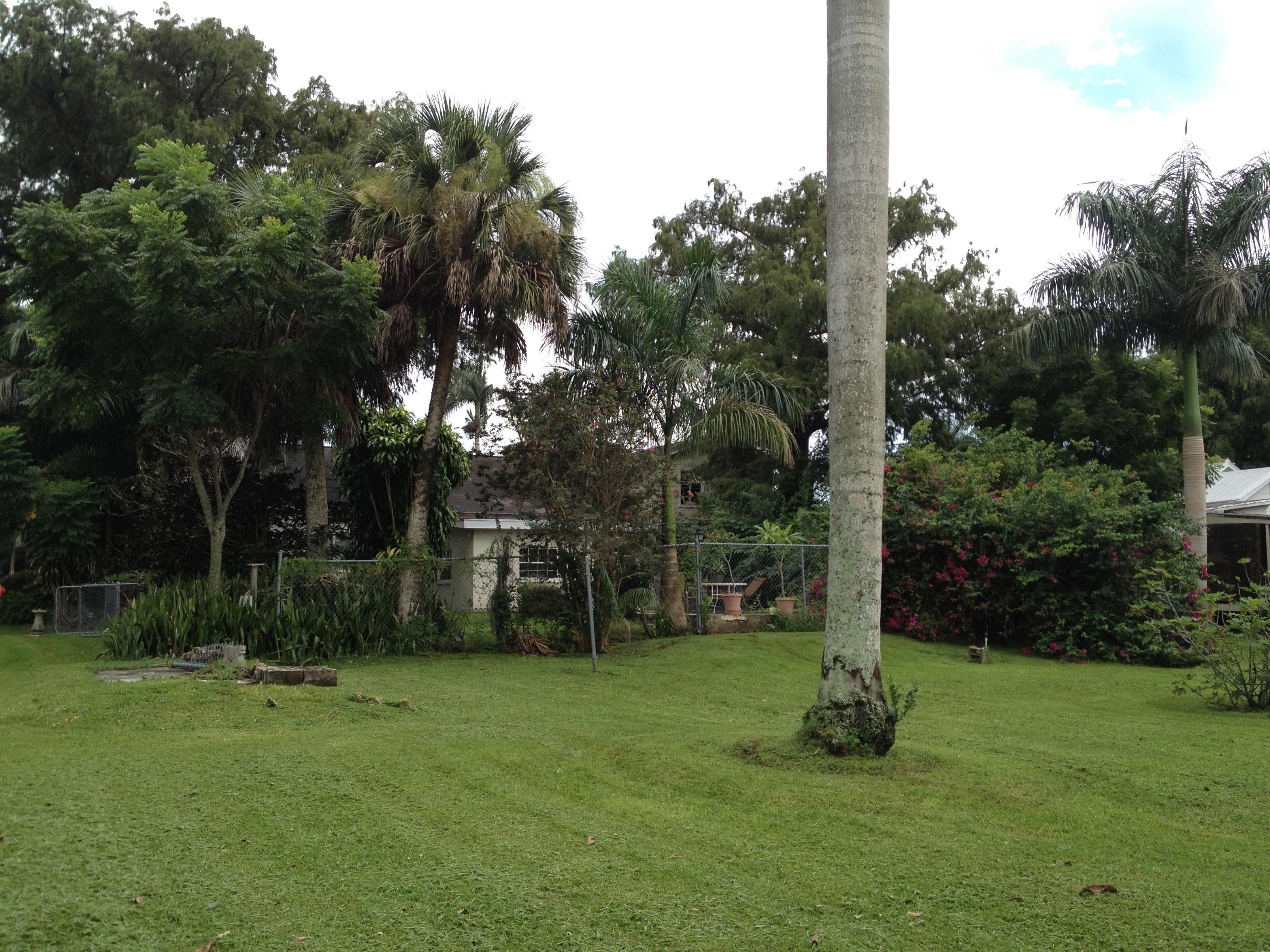 679 Bacom Point Road Pahokee, FL 33476 - Photo 30 of 65 IMG_2809