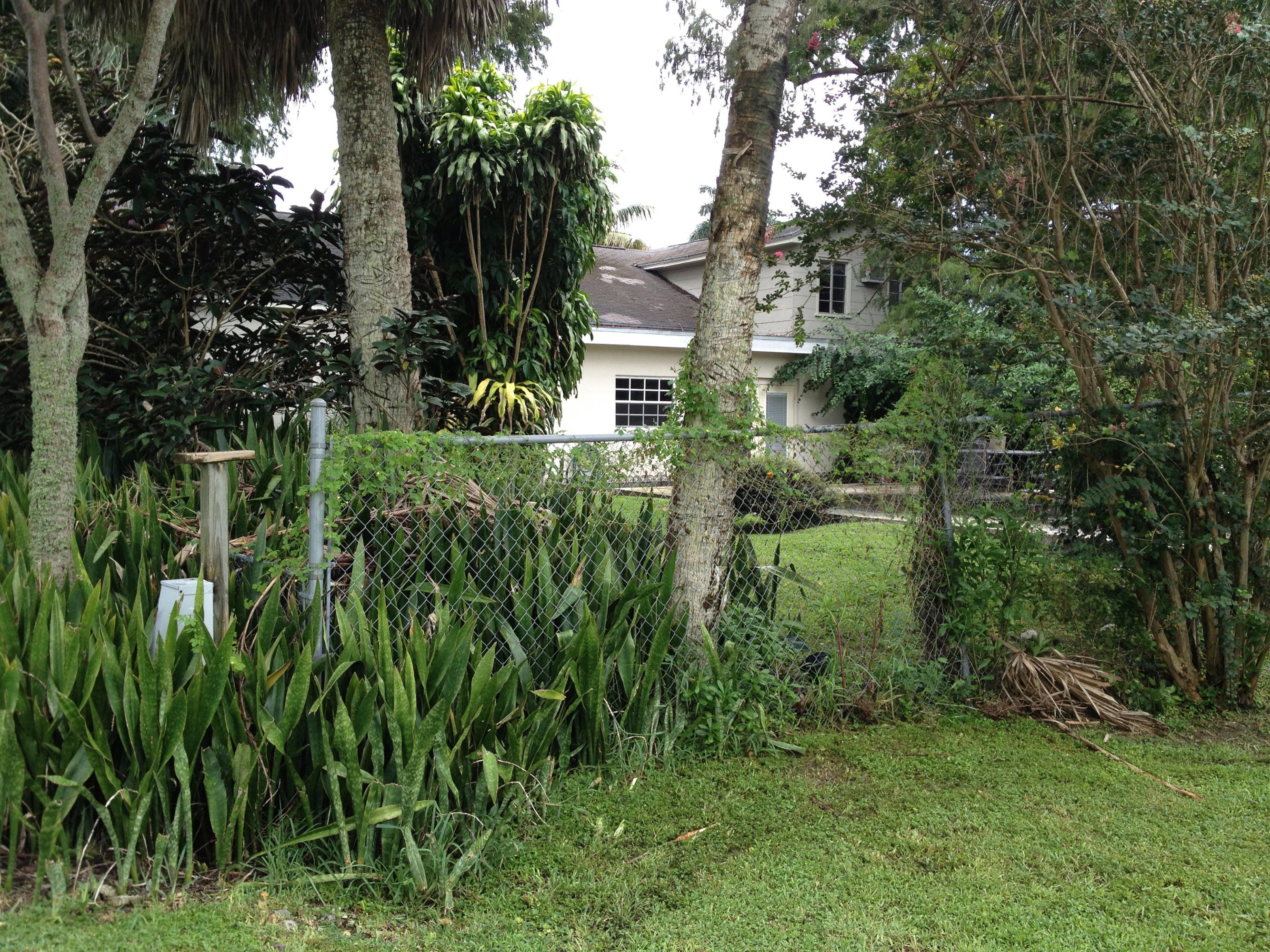 679 Bacom Point Road Pahokee, FL 33476 - Photo 36 of 65 IMG_2815