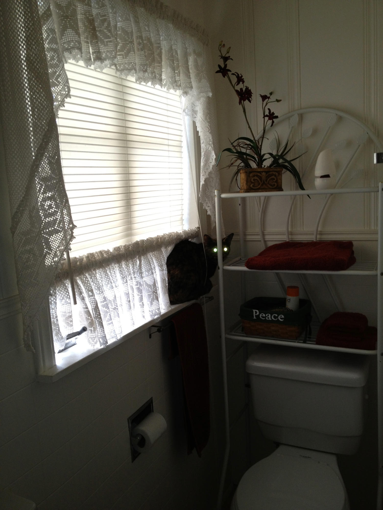 679 Bacom Point Road Pahokee, FL 33476 - Photo 59 of 65 IMG_2838