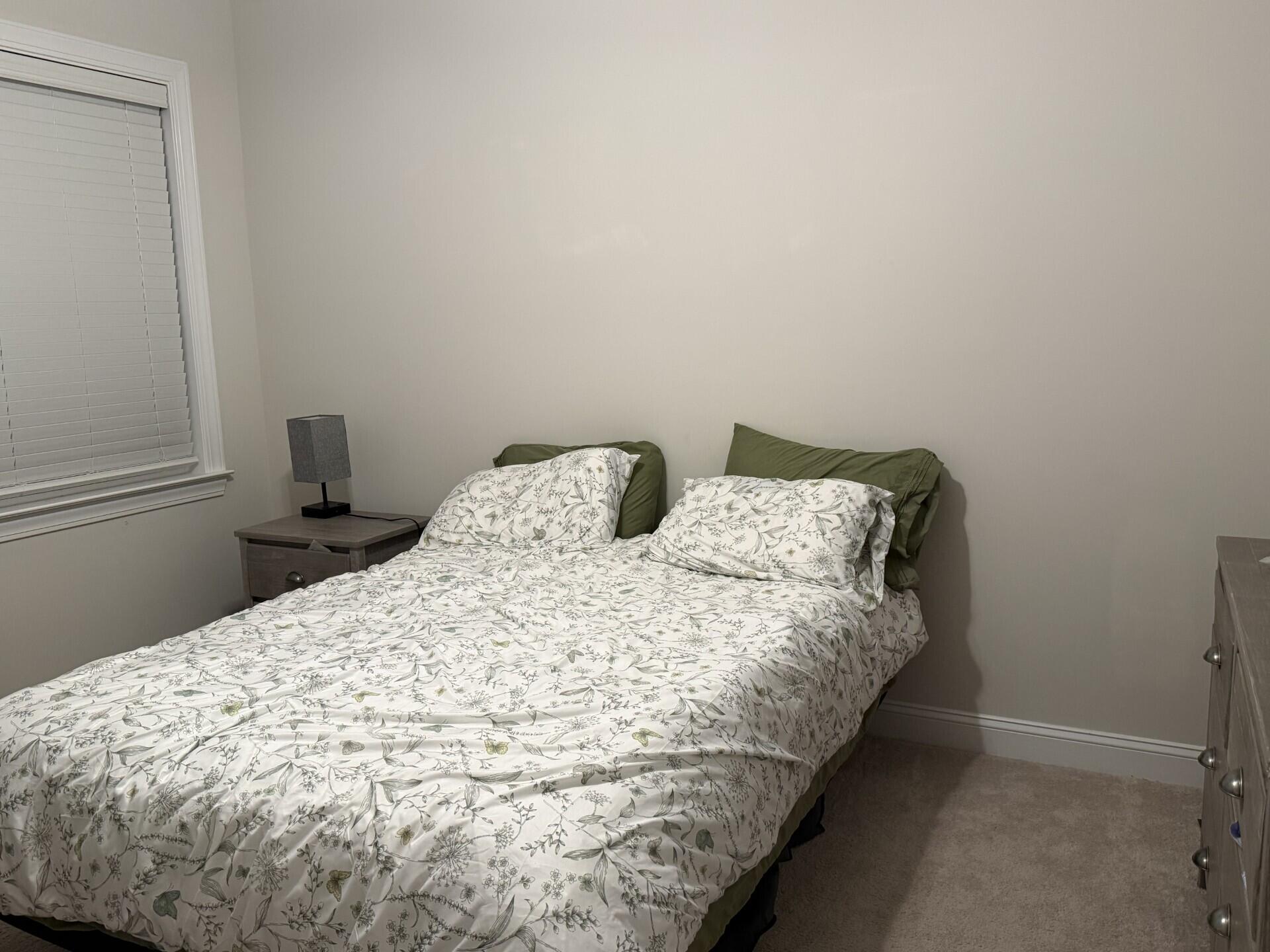 481 Spring Hollow Drive Charleston, SC 29492 - Photo 12 of 20 Upstairs bedroom
