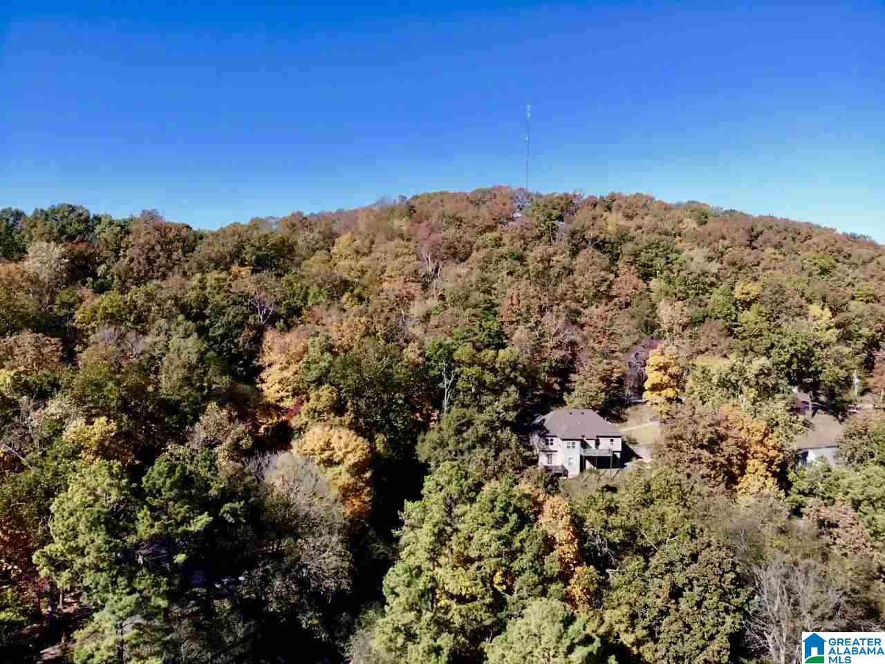 156 Pelham Heights Road Pelham, AL 35124 - Photo 21 of 21