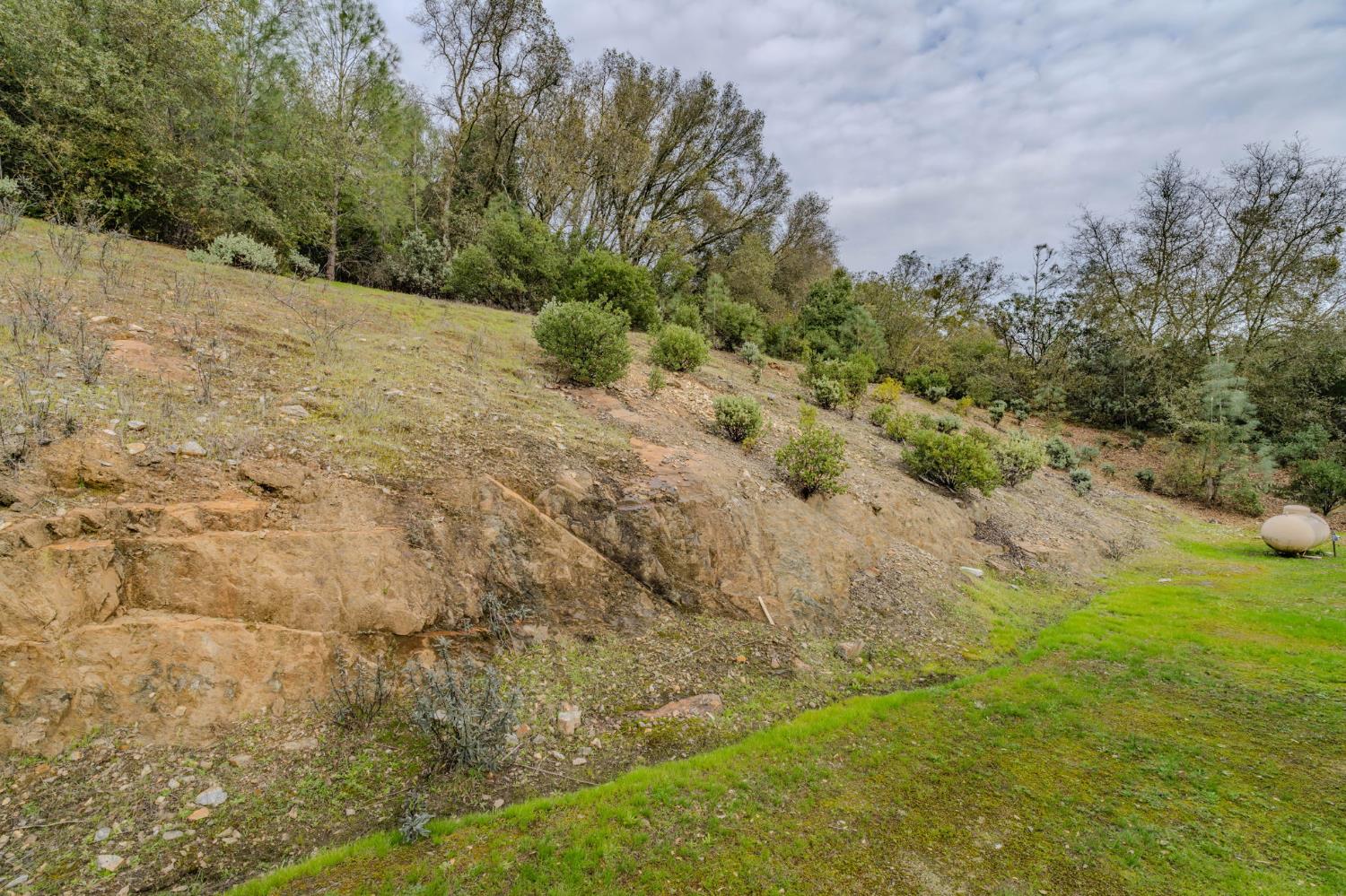 13890 Shake Ridge Road Sutter Creek, CA 95685 - Photo 46 of 66 Gallery Image 46