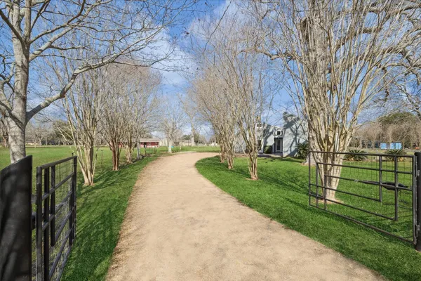 a walkway with trees on sides