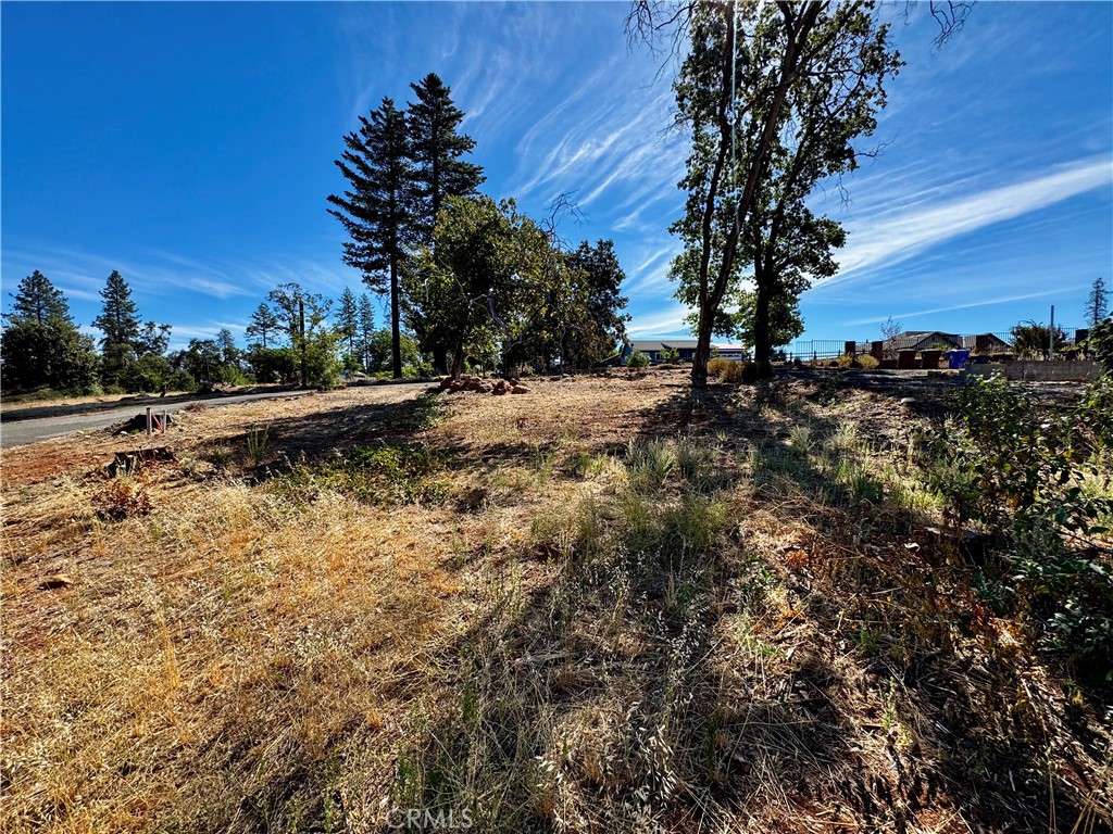 5465 Foster Road Paradise, CA 95969 - Photo 10 of 11 Gallery Image 10