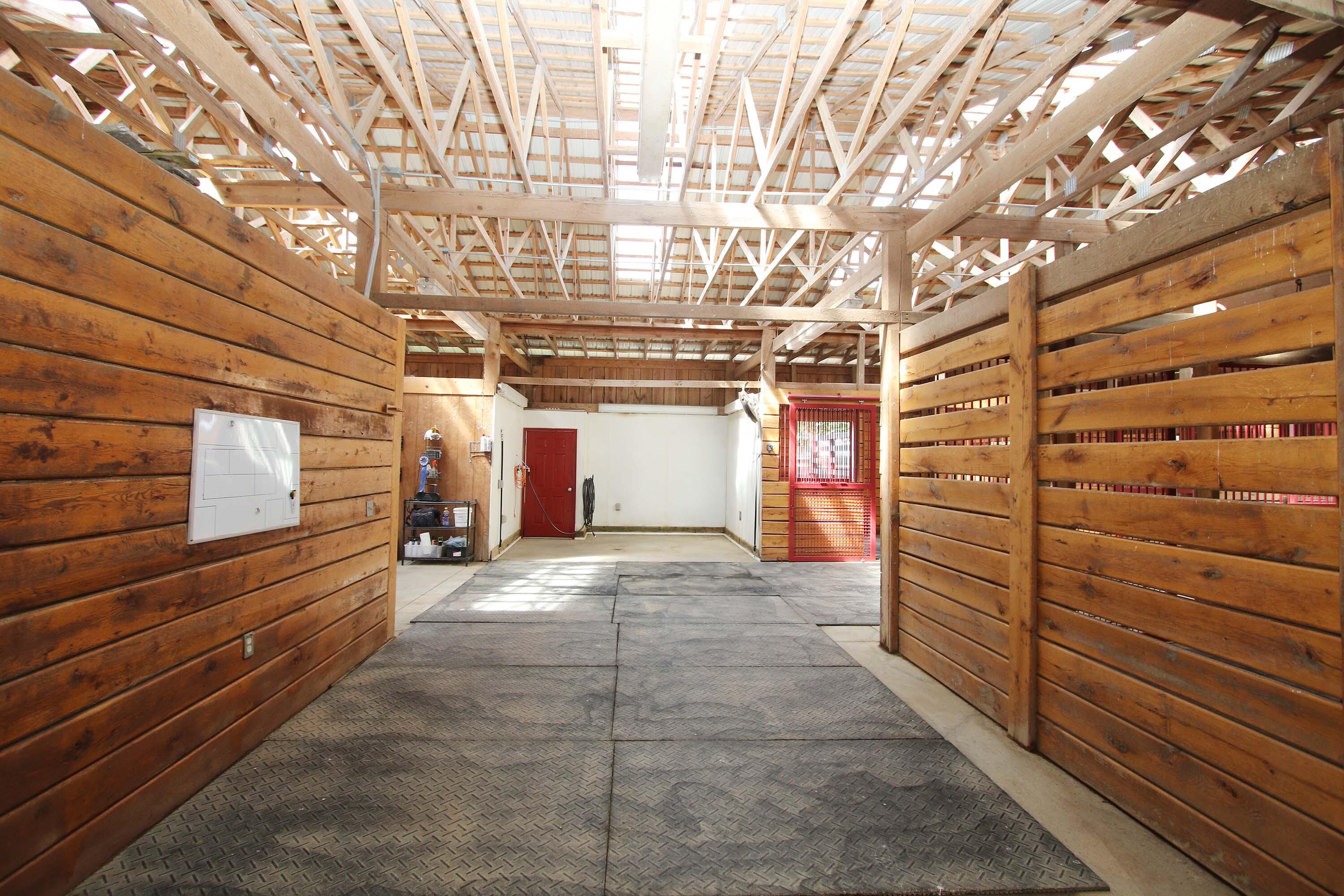 283 Leesburg Road Georgetown, KY 40324 - Photo 46 of 60 Breezeway from the barn to the indoor arena.