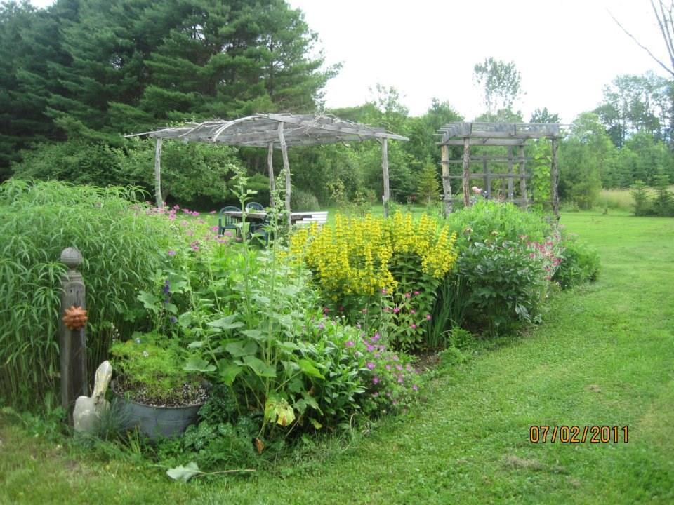 490 Common Road Union, ME 04862 - Photo 7 of 34 Trellis garden