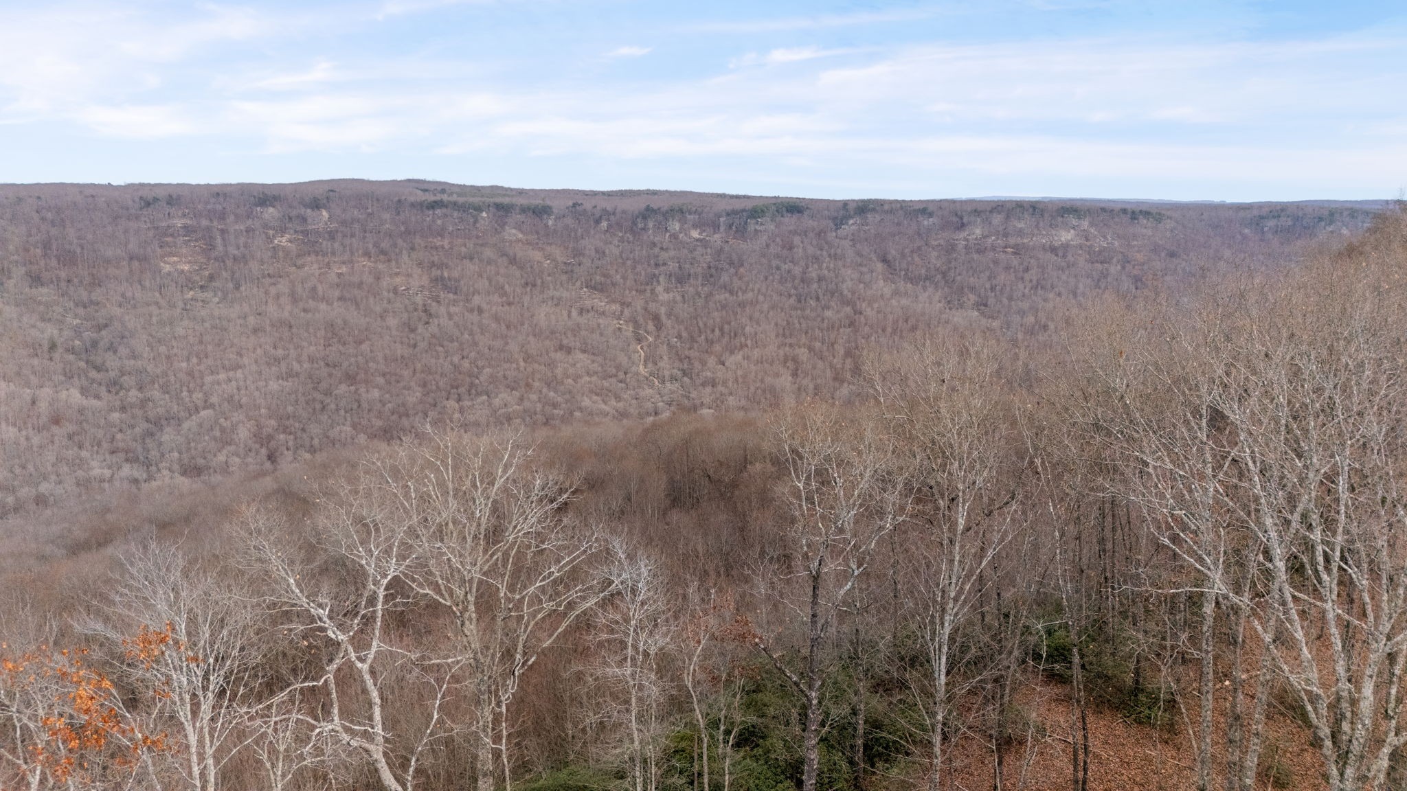 2345 Eagle Rock Road Monteagle, TN 37356 - Photo 65 of 68