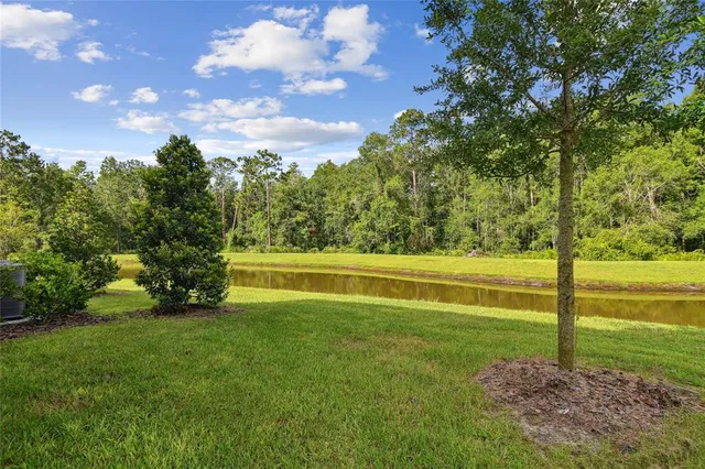 $289,000 | 17516 Nectar Flume Drive, Land O Lakes, FL 34638