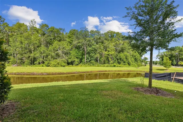 $289,000 | 17516 Nectar Flume Drive, Land O Lakes, FL 34638