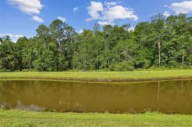 $289,000 | 17516 Nectar Flume Drive, Land O Lakes, FL 34638