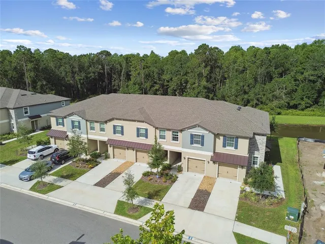 $289,000 | 17516 Nectar Flume Drive, Land O Lakes, FL 34638