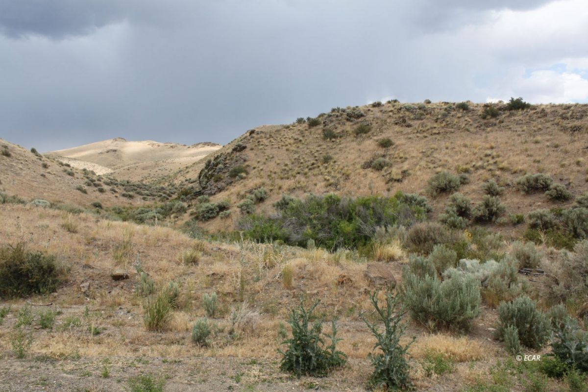 5th Street Elko, NV 89801 - Photo 20 of 20
