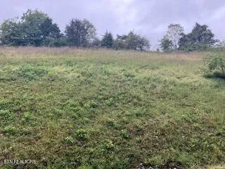 $24,900 | 553 Garnet Trail, New Tazewell, TN 37825