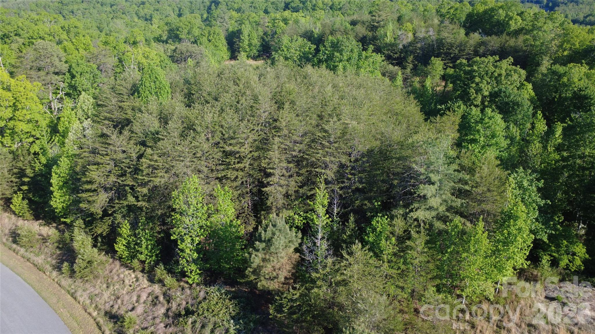 431 Ridge Point Road, Unit 7 Nebo, NC 28761 - Photo 10 of 20