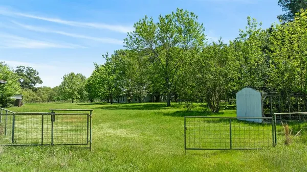 a view of a garden with trees