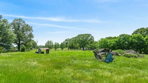 a view of a park with large trees