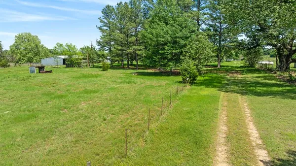 a view of a park with large trees