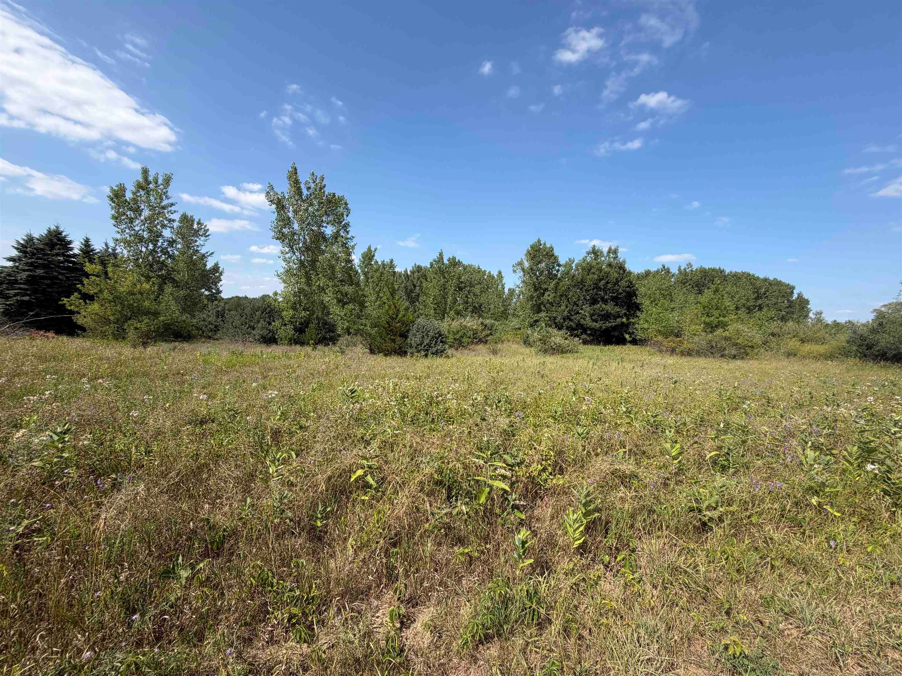 V/l Ambrose Road Mayville, MI 48744 - Photo 7 of 11 Gallery Image 7