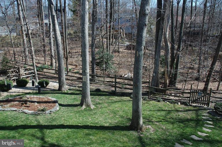 8211 Rushing Creek Drive Springfield, VA 22153 - Photo 13 of 18 Back yard