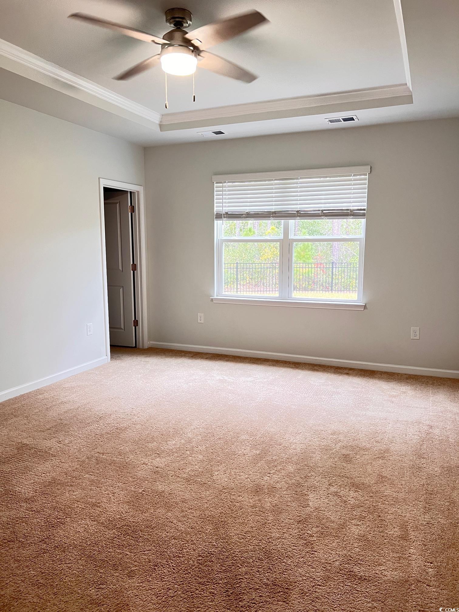 3320 Candytuft Drive Conway, SC 29526 - Photo 13 of 19 Empty room featuring a tray ceiling, carpet, and a ceiling fan