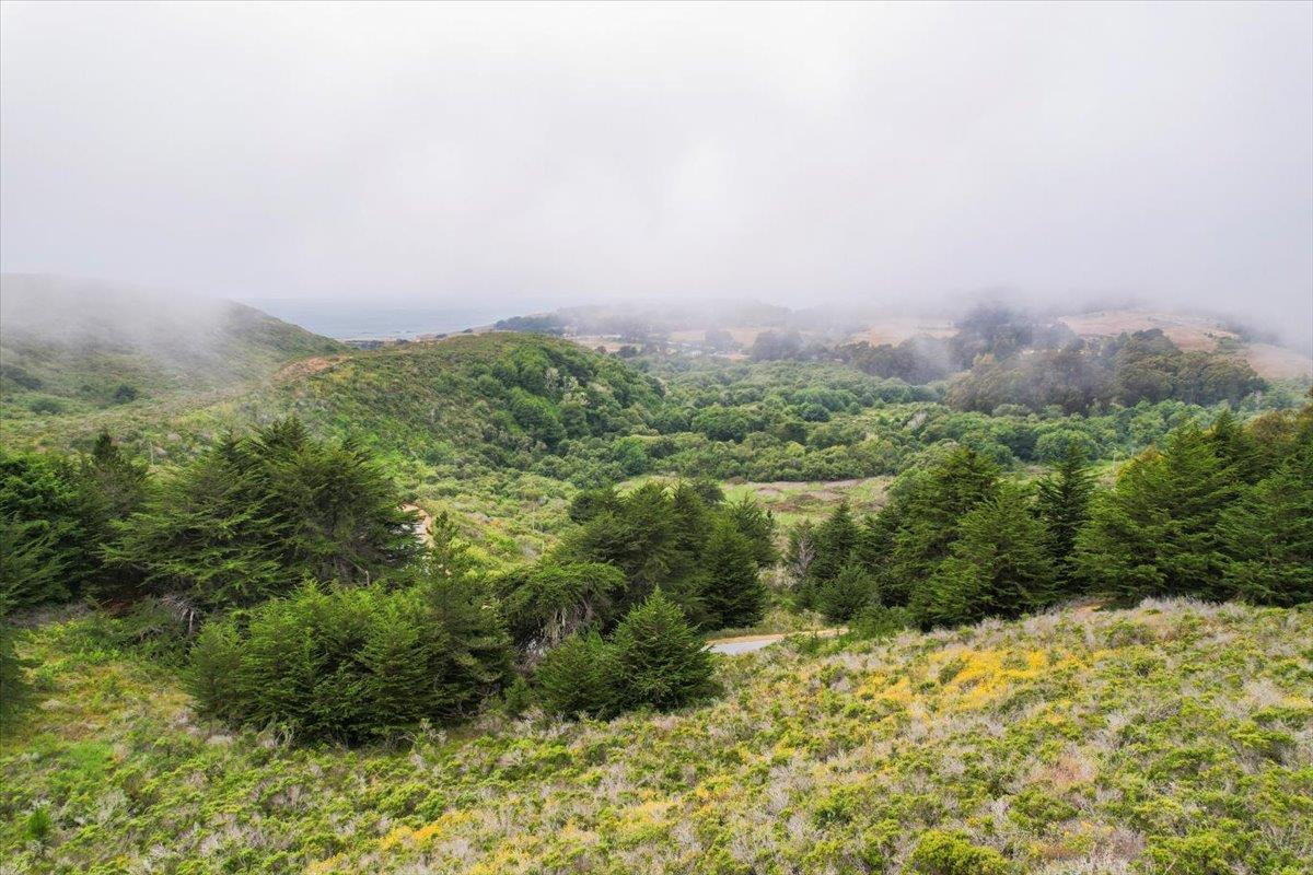 0 Stage Road San Gregorio, CA 94074 - Photo 27 of 48 a view of a big yard
