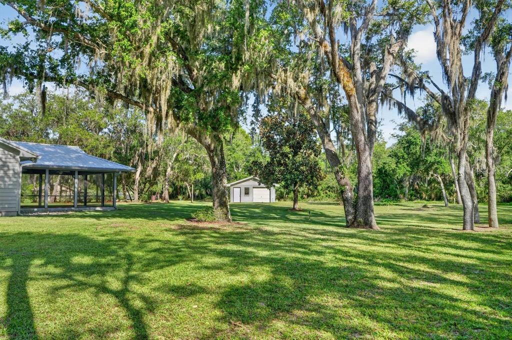 171 William Street Edgewater, FL 32141 - Photo 29 of 40 a big yard with lots of green space and trees