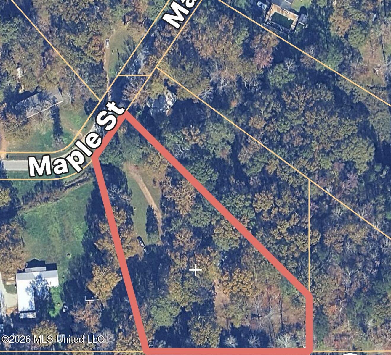 301 Maple Street Florence, MS 39073 - Photo 25 of 30 Aerial View/Property Lines