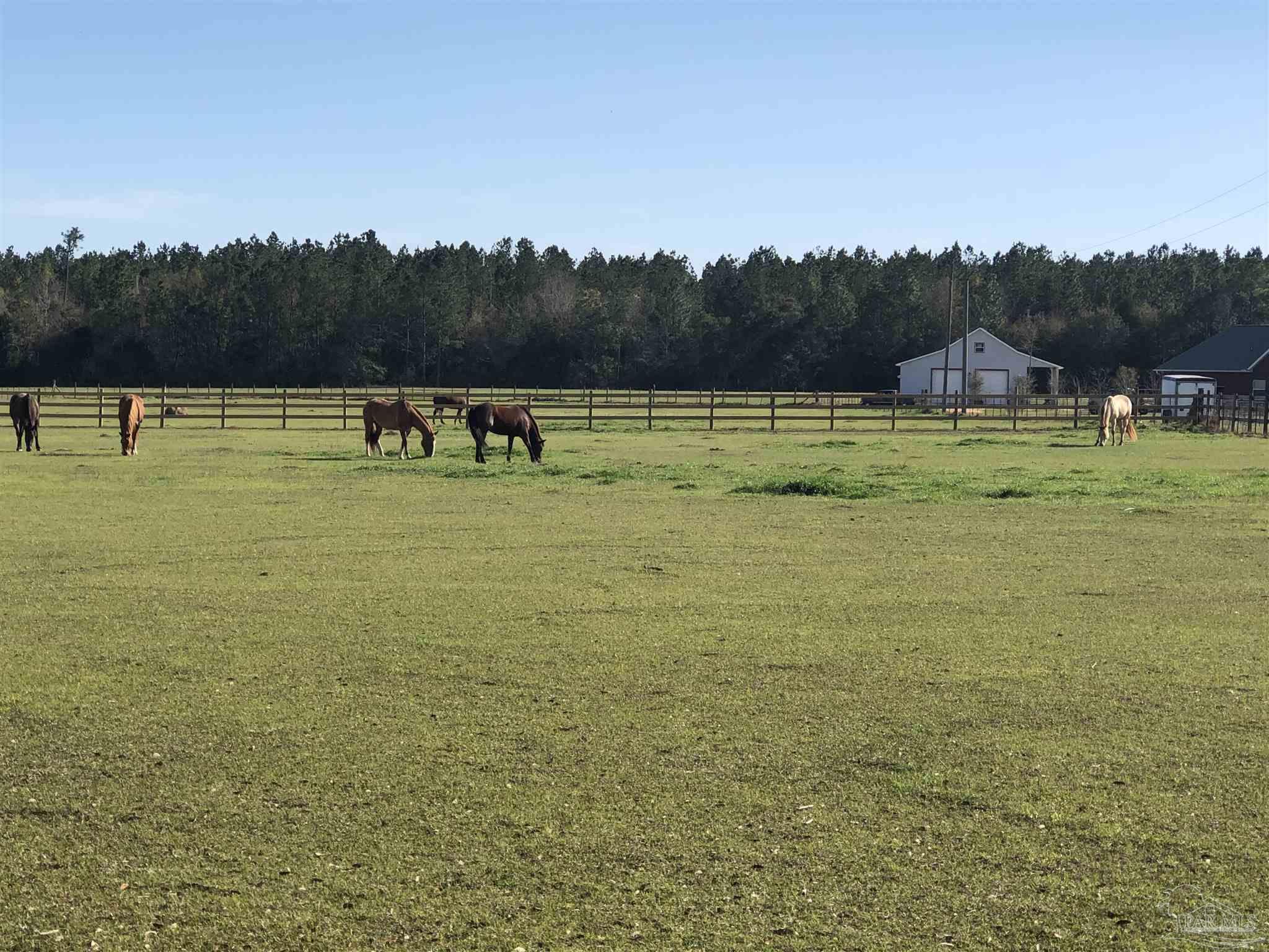 3801 Willard Norris Road Pace, FL 32571 - Photo 1 of 15