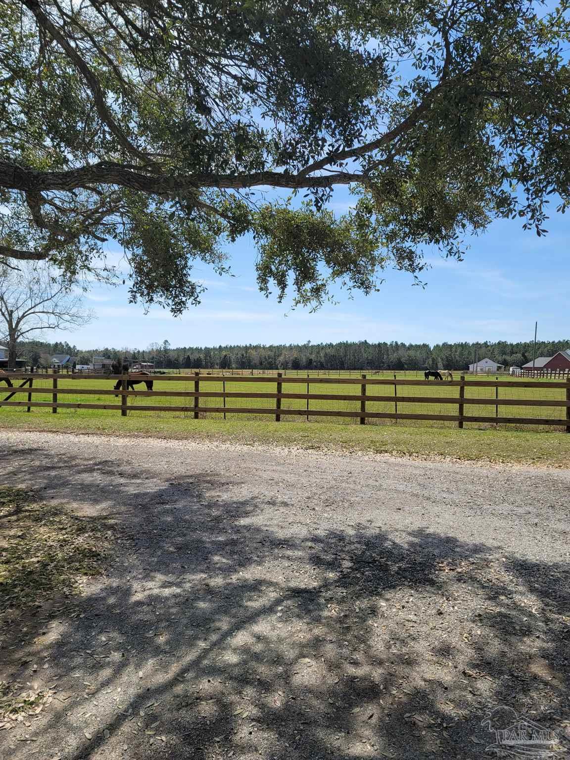 3801 Willard Norris Road Pace, FL 32571 - Photo 15 of 15