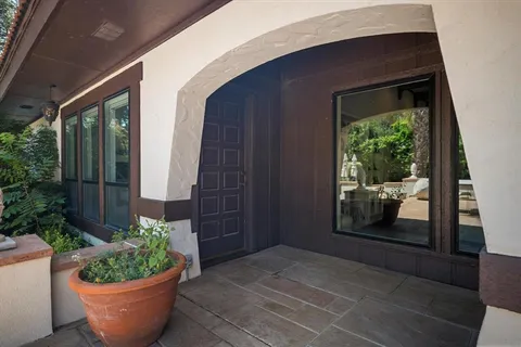 a room with a potted plant and a window
