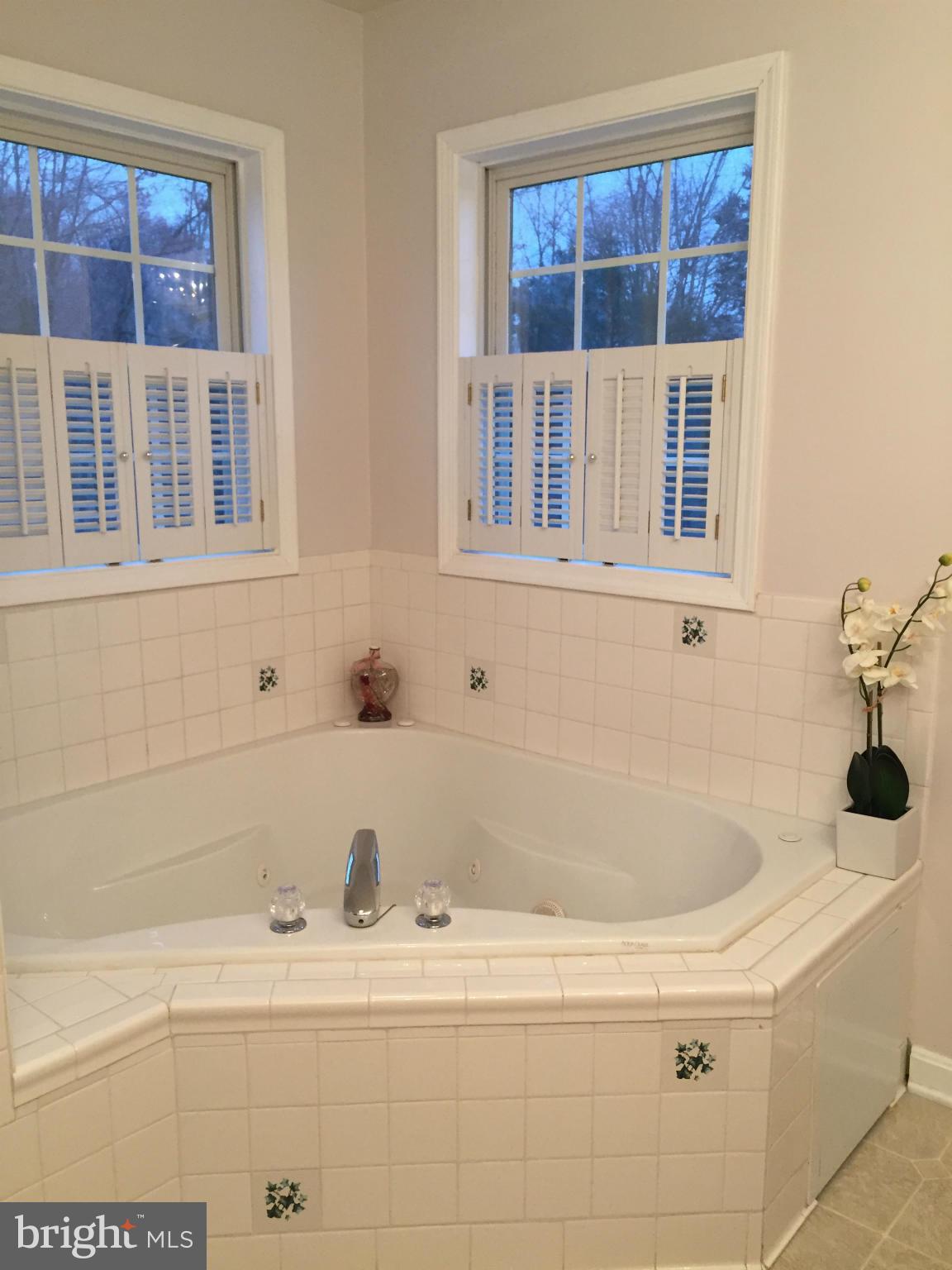 5515 Beach Road Midland, VA 22728 - Photo 16 of 30 Bath (Master)